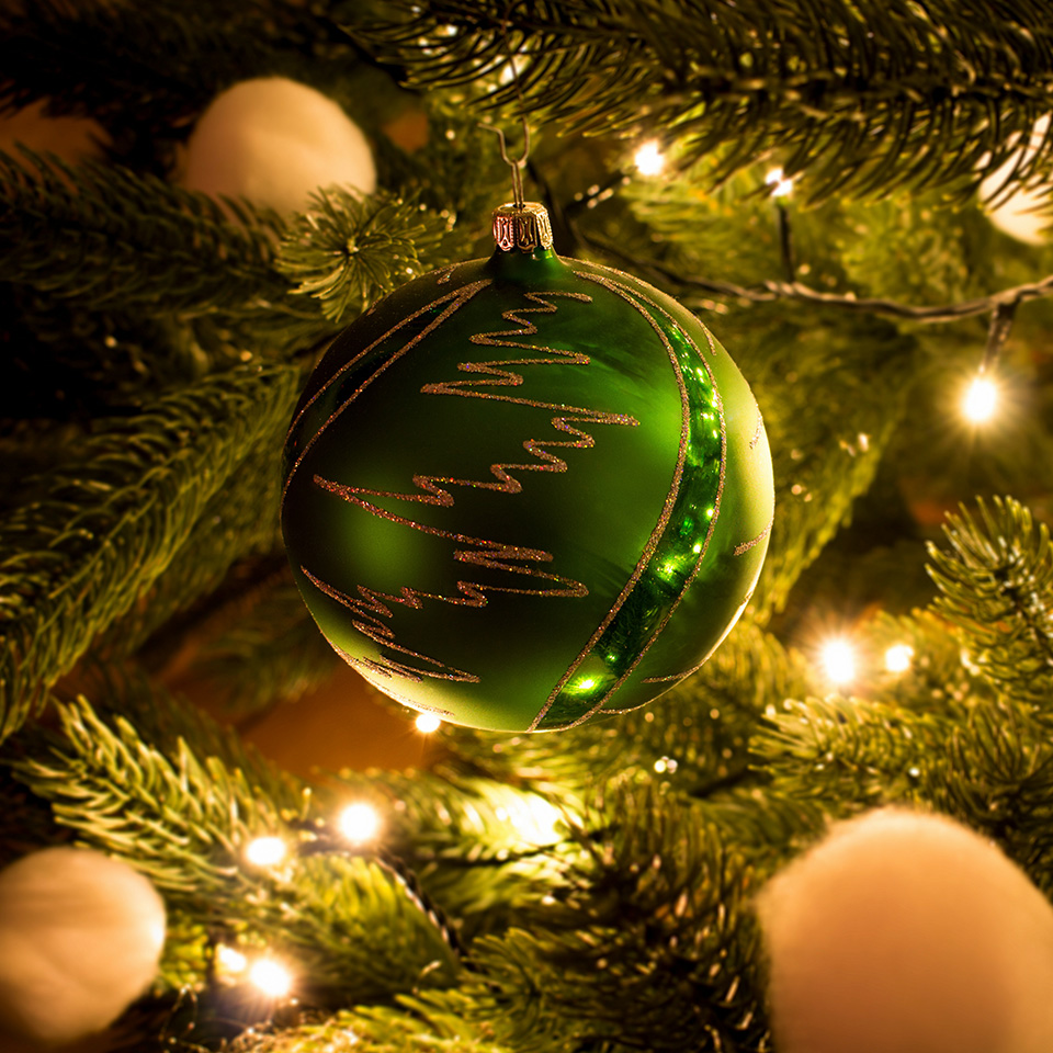 Buy Christmas Trees Online For Free UK Delivery From Our Devon Nursery buy-christmas-trees-online-for-free-uk-delivery-from-our-devon-nursery
