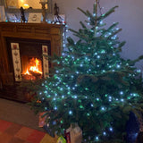 4-5 Ft Nordmann Fir Christmas Tree - Non Needle Drop
