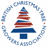 4-5 Ft Nordmann Fir Christmas Tree - Non Needle Drop