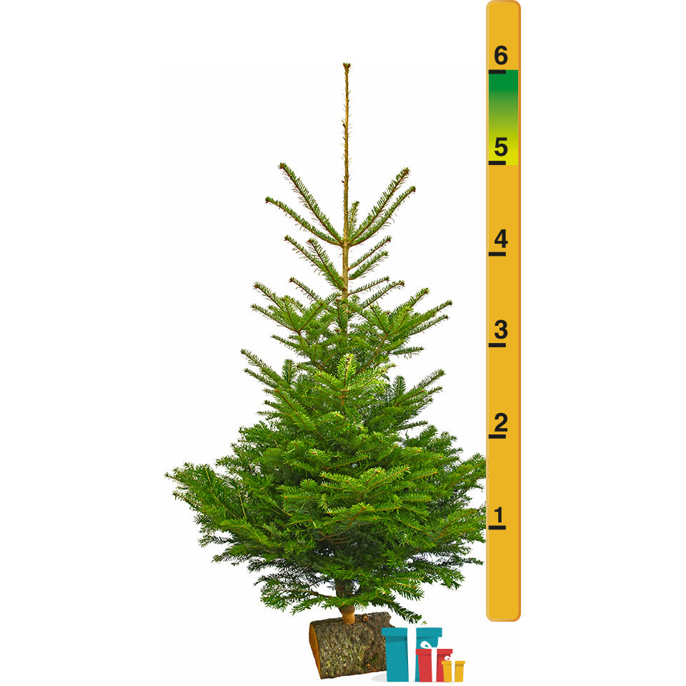 2 Foot Christmas Tree Yaheetech 3 Foot Christmas Trees Set Of 2