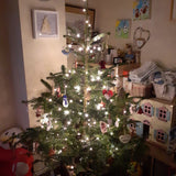 6-7 Ft Nordmann Fir Christmas Tree