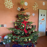 7-8 Ft Nordmann Fir Christmas Tree