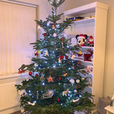 8-9 Ft Nordmann Fir Christmas Tree