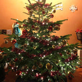 11-12 Ft Nordmann Fir Christmas Tree - Non Needle Drop