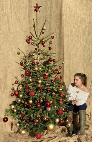 8-9 Ft Nordmann Fir Christmas Tree