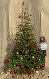 9-10 Ft Nordmann Fir Christmas Tree